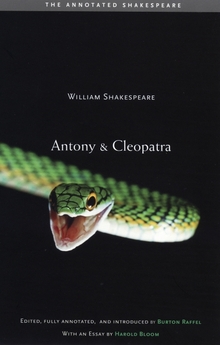 Antony and cleopatra essays